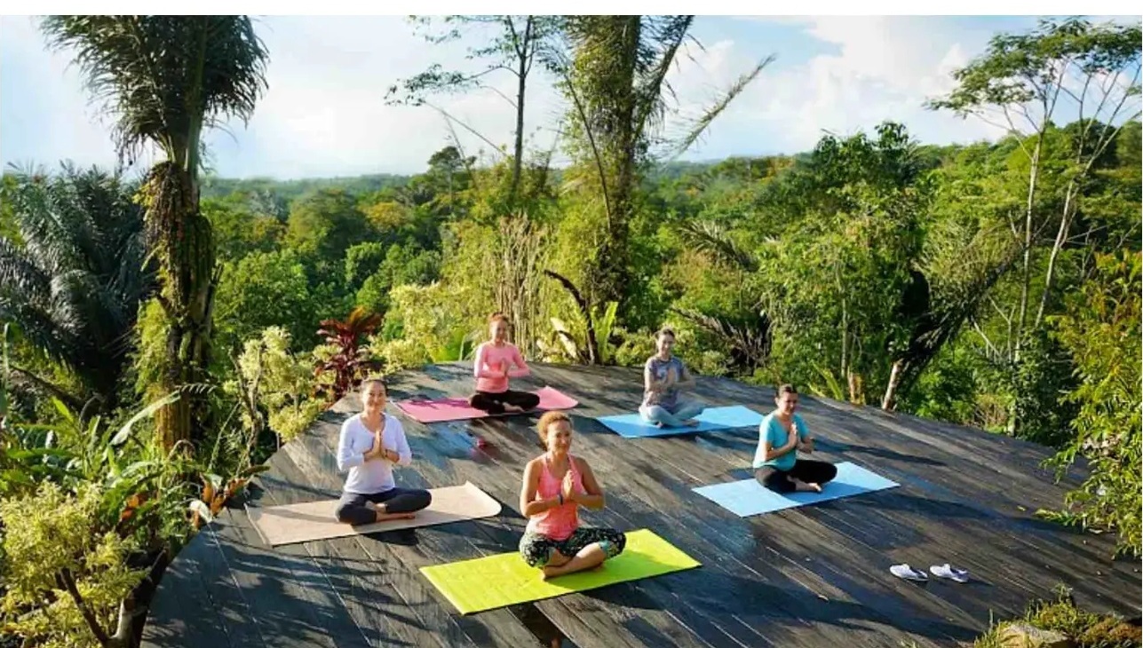 Morning yoga practice on an open-air deck overlooking tropical greenery